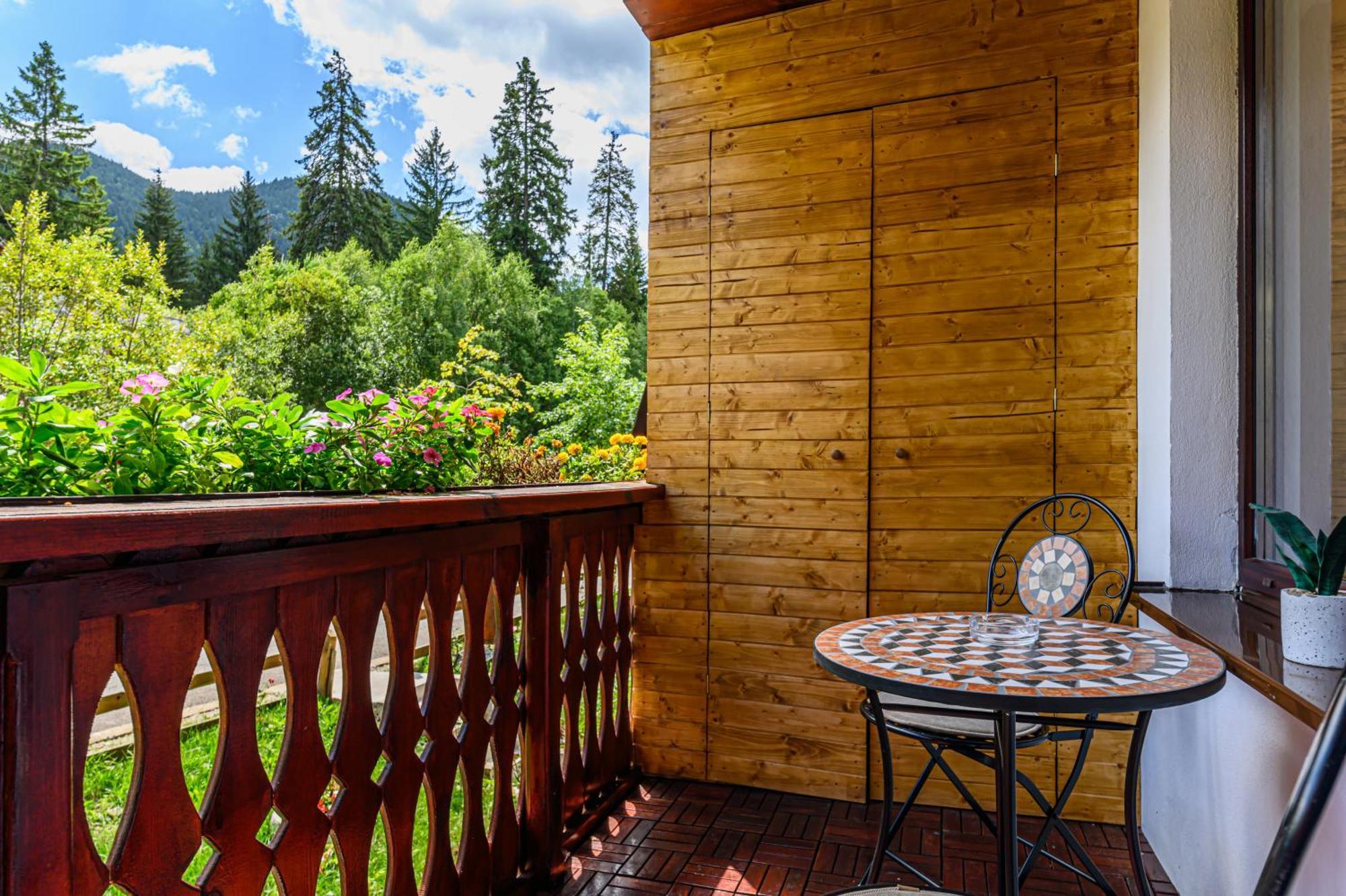 Studio Enis Poiana Brasov Εξωτερικό φωτογραφία